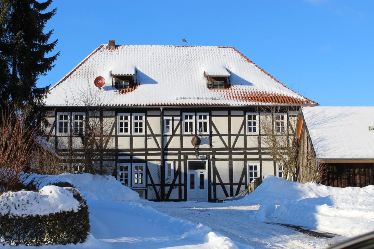 Apartament Forsthaus In Waldhessen Bauhaus Zewnętrze zdjęcie
