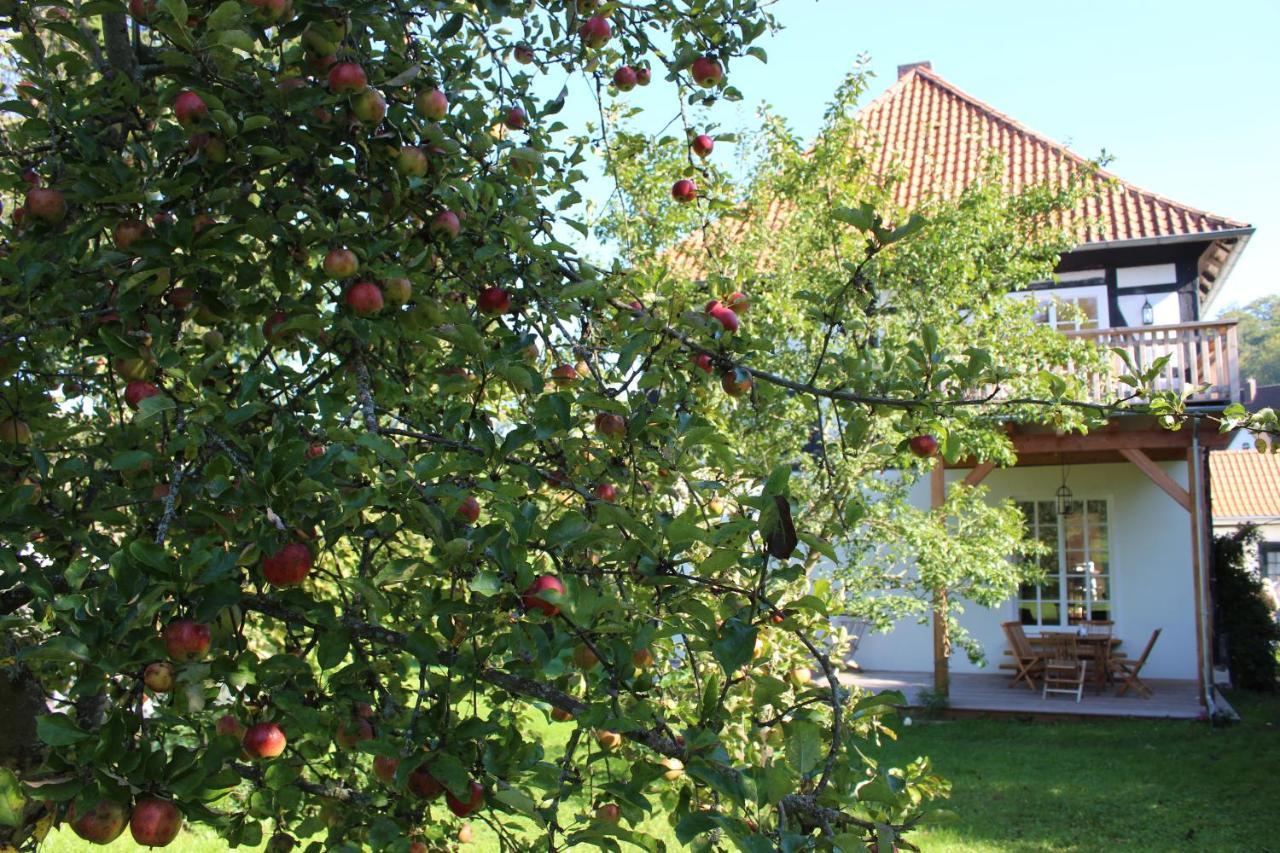 Apartament Forsthaus In Waldhessen Bauhaus Zewnętrze zdjęcie