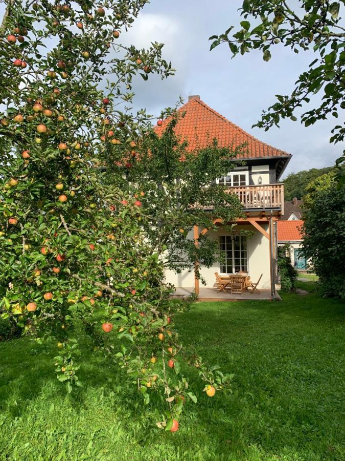 Apartament Forsthaus In Waldhessen Bauhaus Zewnętrze zdjęcie